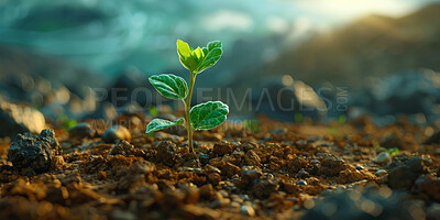 Buy stock photo Seedling, soil and plant for agriculture, nature and garden for grow and sapling for farming. Spring, dirt or natural leaf for fresh sprout for environment conservation, eco friendly and green growth