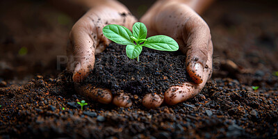 Earth, agriculture and plant in garden, hands and ecology of environment, farmer and outdoor for leaves in nature. Seedling, dirt and volunteer with care for sustainability, eco friendly or person