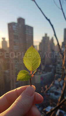 Hand, leaf and person in city, sunshine and eco friendly living with urban town, plant and buildings. New York, skyscraper or human with fingers, sky or sustainability with growth, summer or sunlight