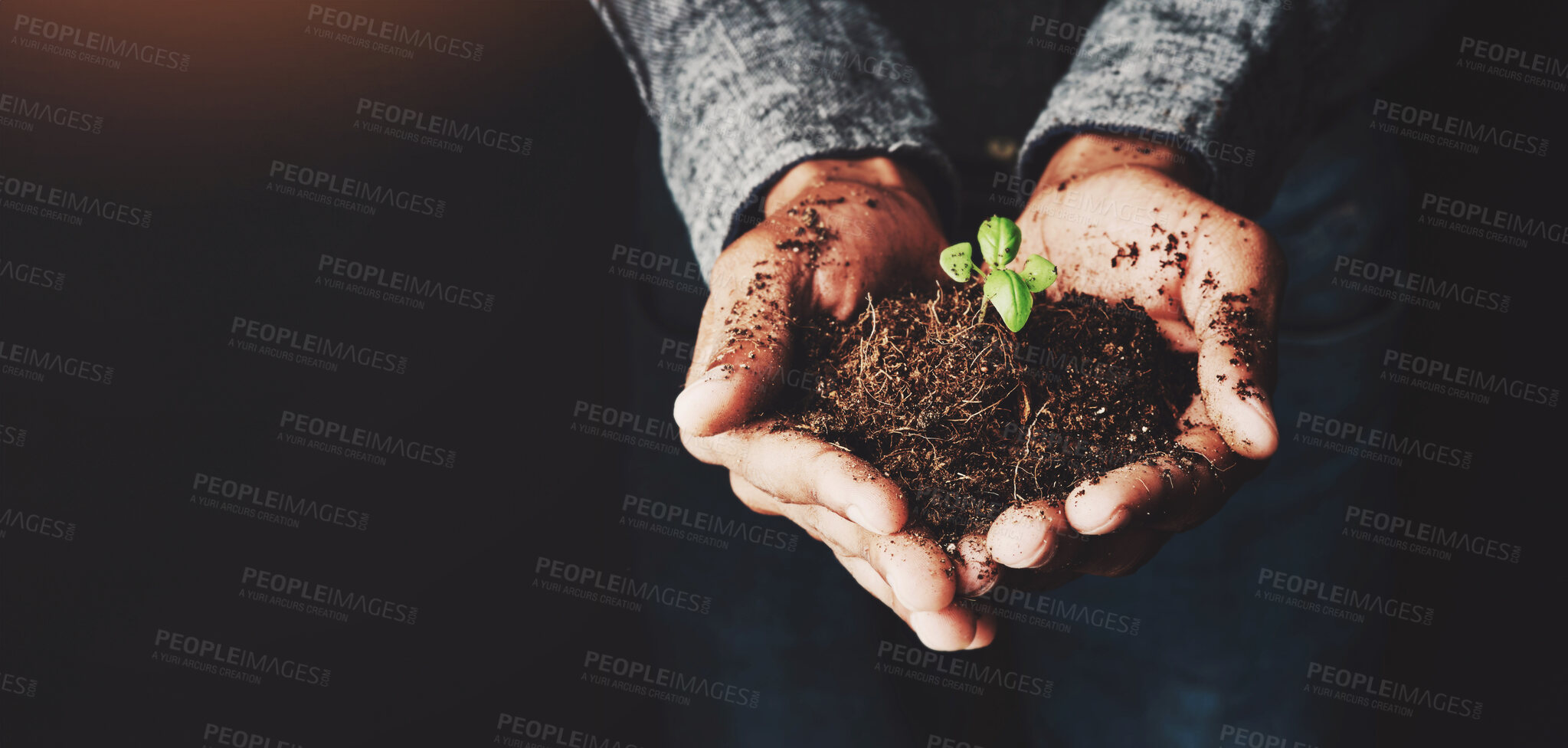 Buy stock photo Hands, soil and plant in studio for growth, development and sustainability on black background. Person, fertilizer and holding fresh shoot with space for hope, environment care and responsibility