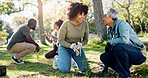 Plant, support and community people in park, nature and garden for sustainable environment. Collaboration, climate change and happy volunteers with planting, gloves and green ecology for earth day