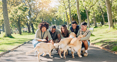 Buy stock photo Park, friends and people with dogs in nature for walking, playing and training outdoors together. Volunteer, animal park and happy men and women with pets for behavior, bonding and fun together