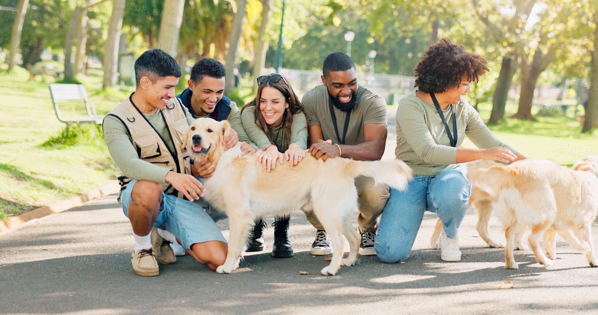 Buy stock photo People, volunteer and happy with dogs at park for walk, care and support for community service in new York. Diversity, group and smile for animal welfare or charity with fun or help as shelter worker