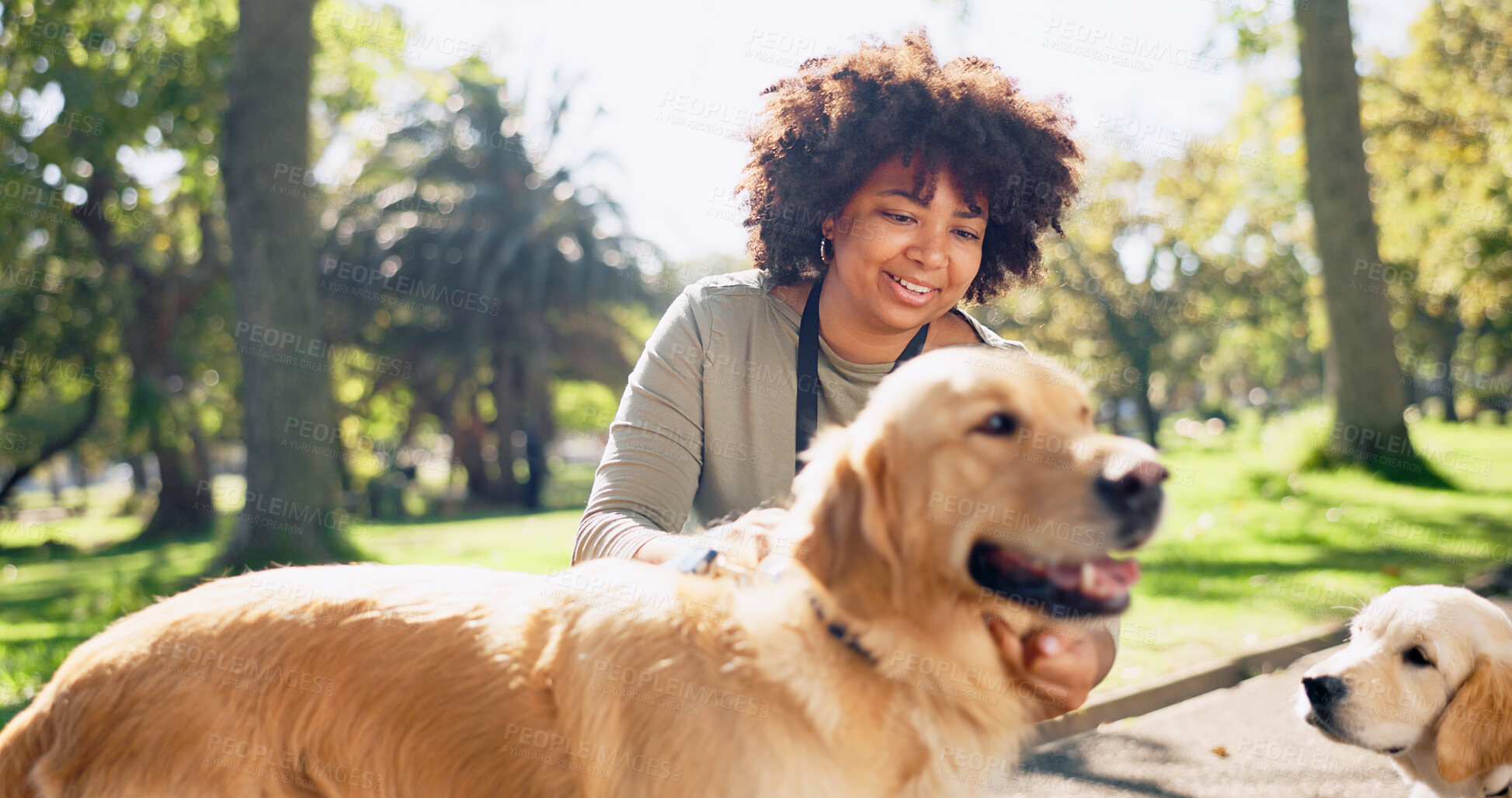 Buy stock photo Park, friends and  black woman with dog in nature for walking, playing and training outdoors together. Volunteer, animal park and happy person with Labrador for behavior, bonding and fun together