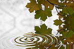 Ripple, leaf and nature with water drop pattern with mockup for 3d, digital and texture. Environment, design and waves with liquid in background for abstract, sustainability and art deco graphic