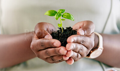 Buy stock photo Ecology, nature and plant in hands for earth day, sustainability and agriculture. Green leaf, soil and fingers of person closeup for eco friendly conservation, growth and protect future environment