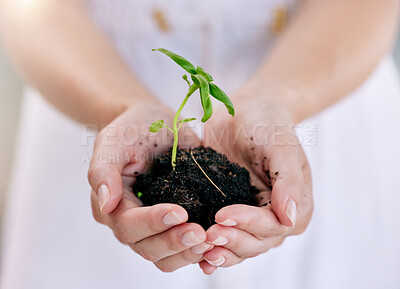 Buy stock photo Sustainability, nature and person with plant in hands for earth day, ecology and agriculture. Green leaf, soil and fingers closeup for eco friendly conservation, growth and protect future environment