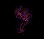 Smoke, shadow and red fog with vapor, incense and creative art with studio and swirl. Colorful, neon puff and black background isolated with steam effect, cloud and magic mist of aura in the air