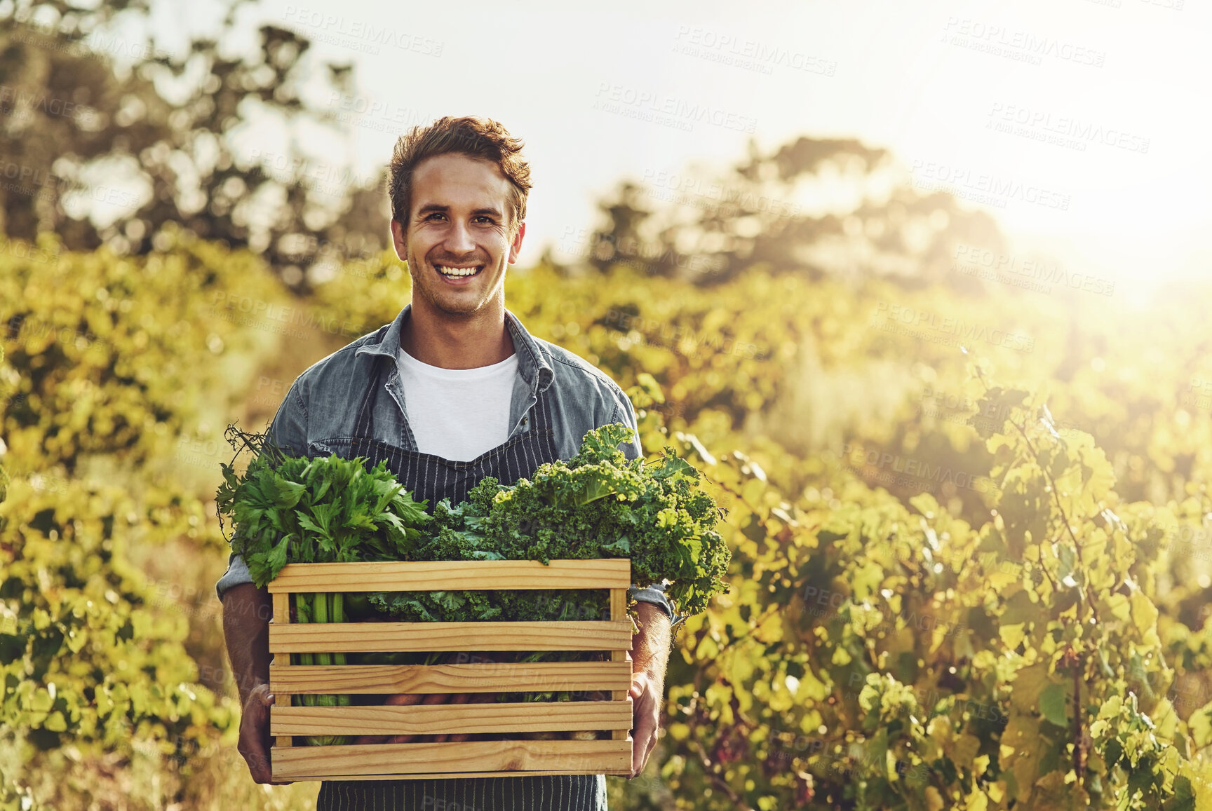 Buy stock photo Crate, portrait and vegetables with man on farm for agribusiness, growth or sustainability. Agriculture, flare and harvest with smile of farmer outdoor in field for ecology, grocery market or produce