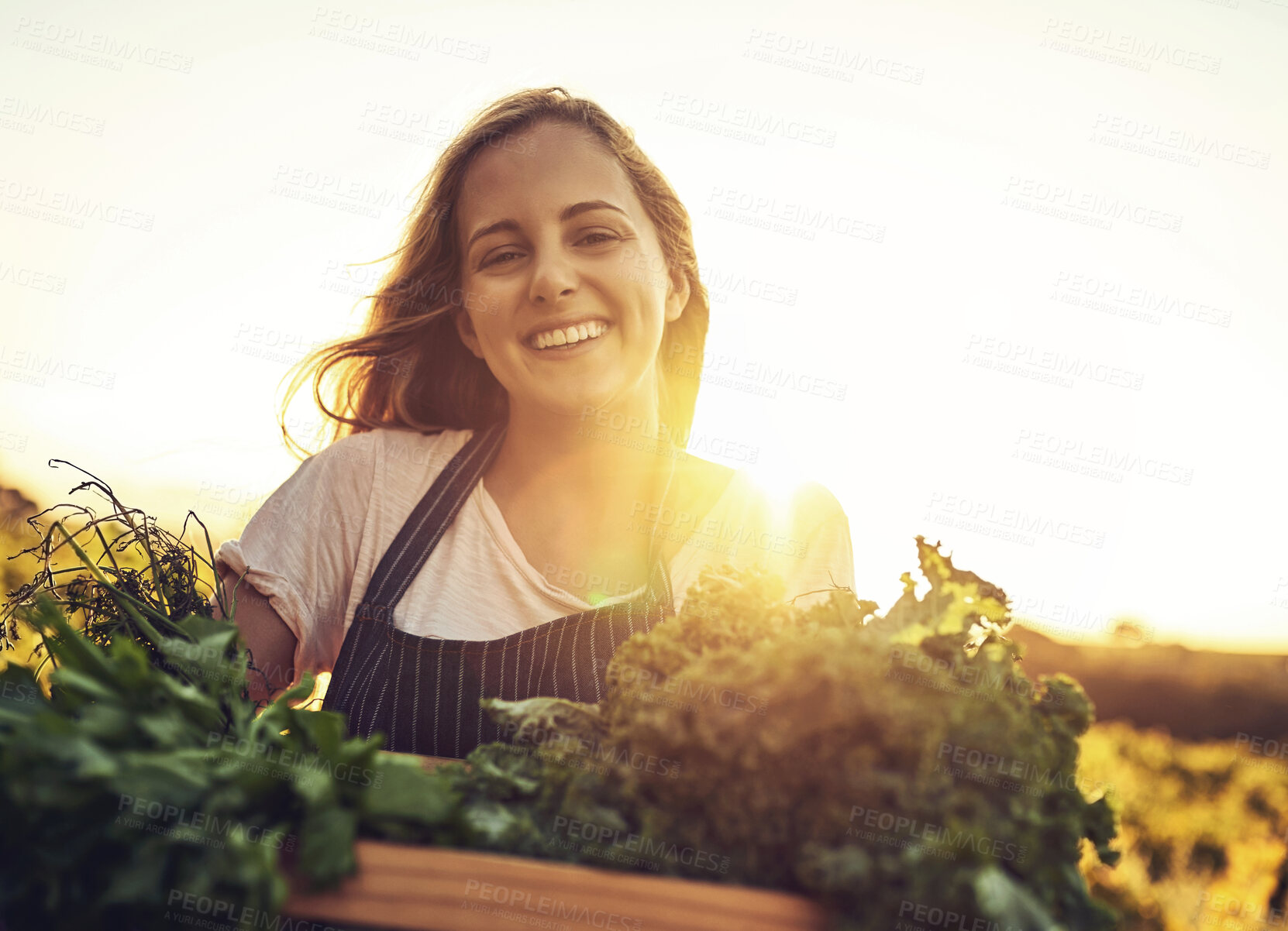 Buy stock photo Farmer, planting or harvest vegetation in portrait smile outdoor for gardening, sustainability or vegan nutrition. Woman, agriculture and nursery for flower growth, healthy food or environmental care