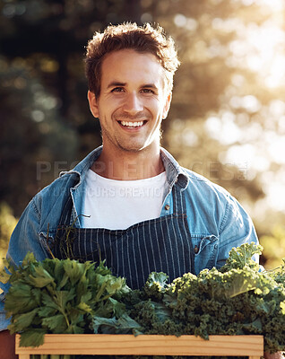 Buy stock photo Farmer, man and portrait with vegetables in box for natural produce, organic harvest and sustainability in field. Farming, person and happy with container for ecology, agribusiness and agriculture