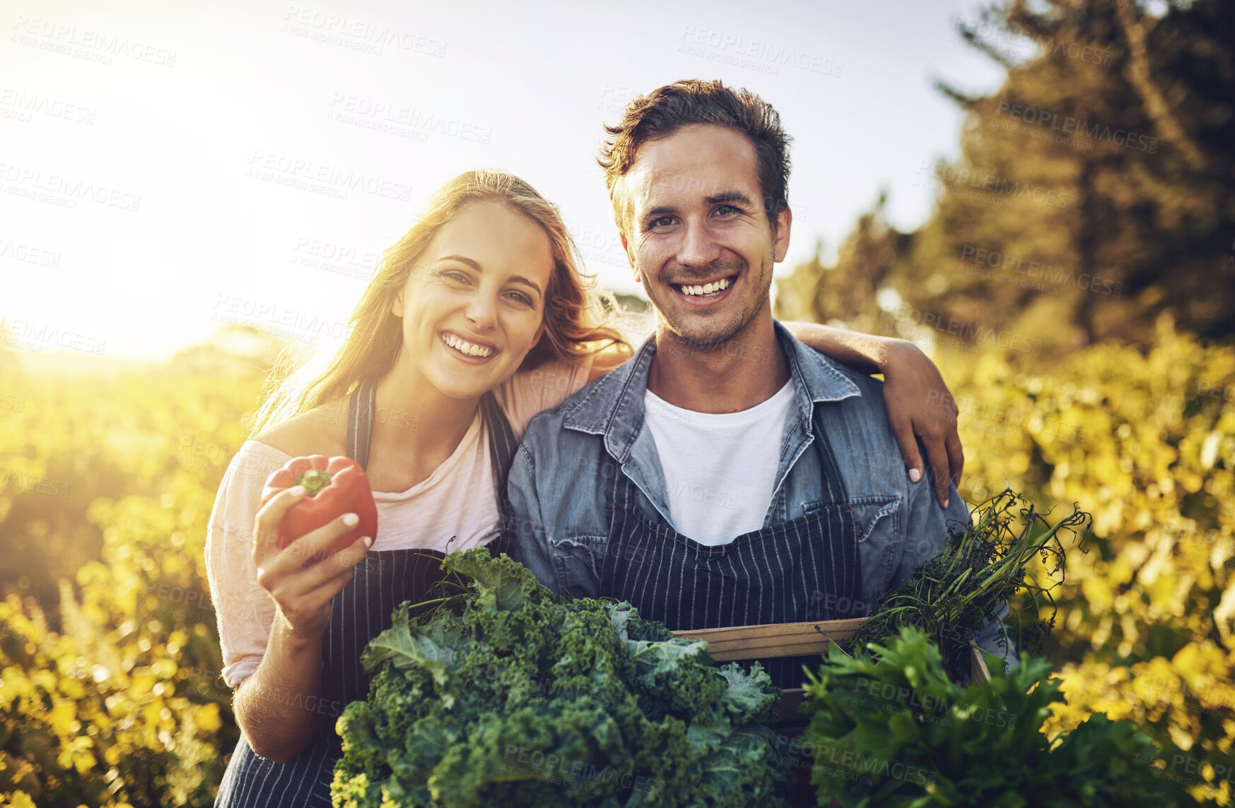 Buy stock photo Agriculture, crate and pepper with portrait of couple on farm together for organic food, growth or produce. Happy, love or smile with man and woman holding box of vegetables for harvest in season