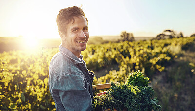 Buy stock photo Portrait, farmer and man with plants, vegetables and agriculture with sunshine, harvest and sustainability. Organic produce, face and guy with fresh food, summer and nature with nutrition and ecology