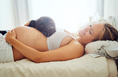 Buy stock photo Home, pregnant and woman with dog, relax and happiness with smile, morning and cheerful. Apartment, bedroom and pregnancy with pet, animal owner and weekend break with wellness, healthy and canine