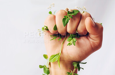 Buy stock photo Fist, plant and hand for environment sustainability isolated on white studio background space. Protest, ecology and person with green leaves for earth day, climate change or fight for nature closeup