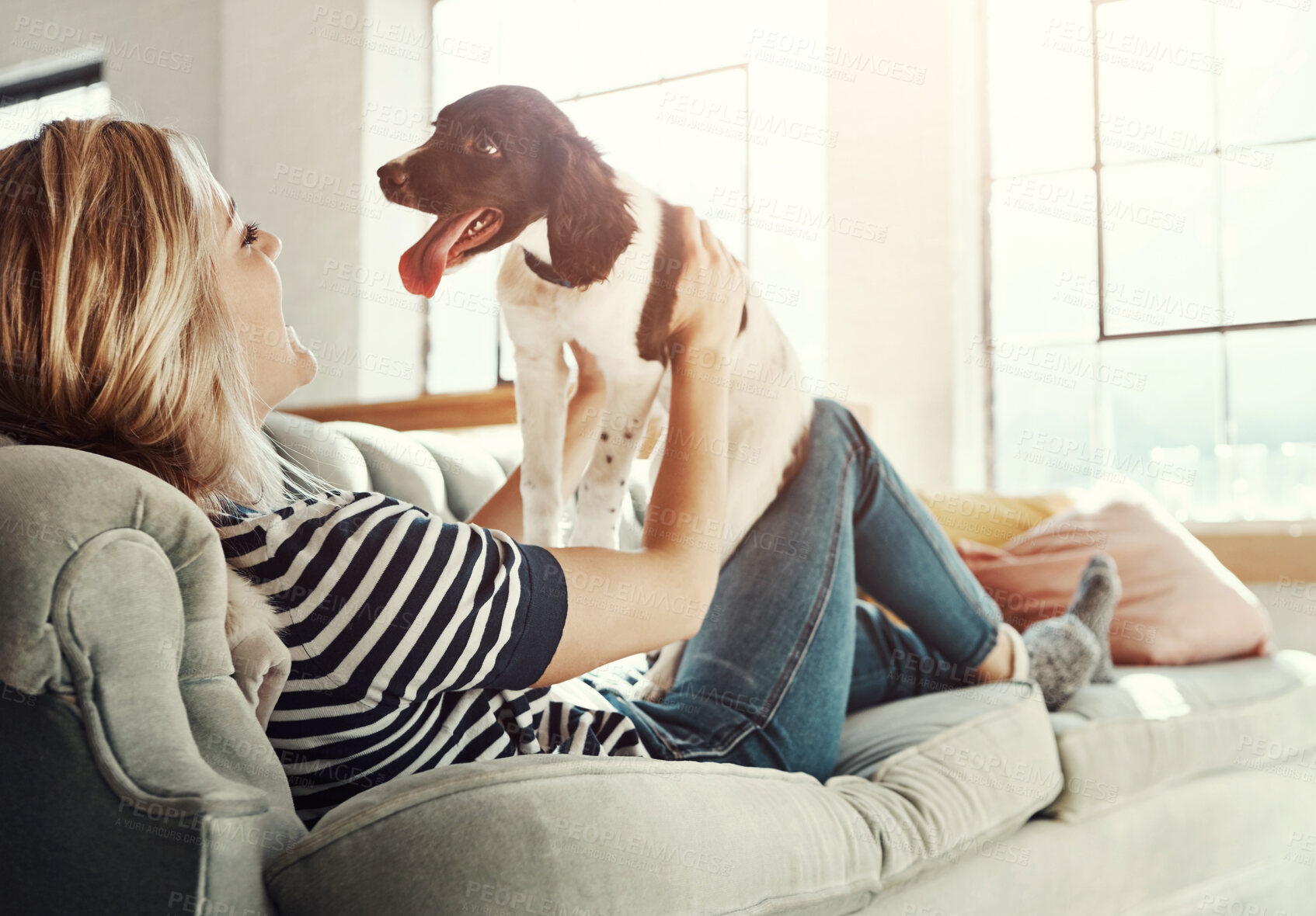 Buy stock photo Friends, love or pet with woman and dog on sofa in living room of home for bonding or cuddle. Relax, support or wellness and owner playing with puppy in apartment for attention, companion or loyalty