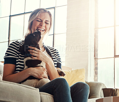 Buy stock photo Laughing, pet or relax with woman and dog on sofa in living room of home for bonding or cuddle. Friends, funny or support and owner playing with puppy in apartment for attention, companion or loyalty