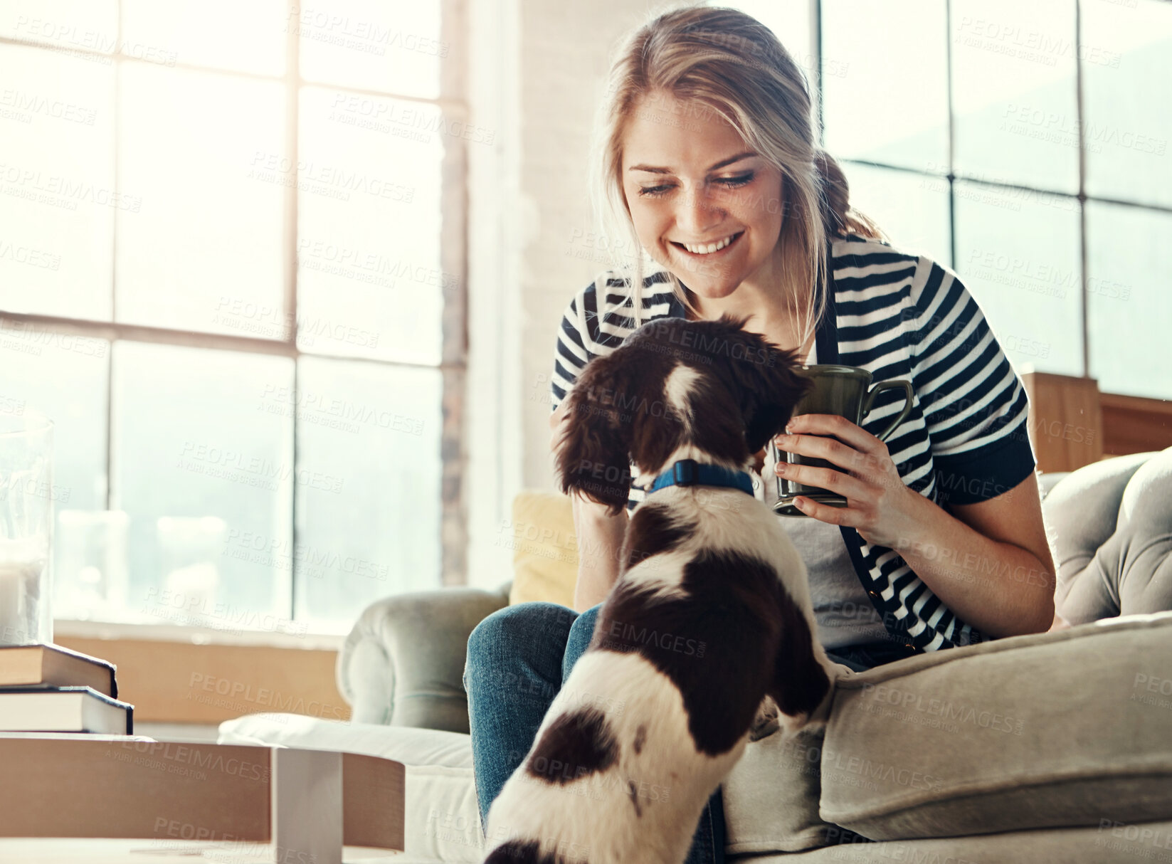 Buy stock photo Coffee, love or relax with woman and dog on sofa in living room of home for bonding or cuddle. Friends, smile or happy and owner playing with puppy in apartment for attention, companion or loyalty