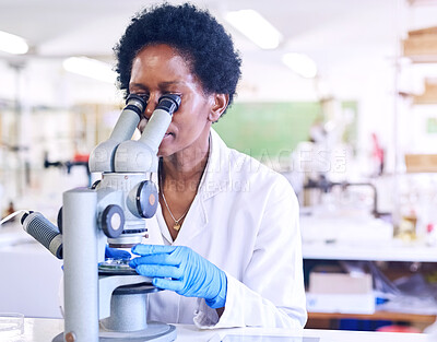 Buy stock photo Scientist, microscope and woman working in lab, biotechnology and medical analysis for research project. Innovation, scientific equipment and healthcare employee, experiment and microbiologist