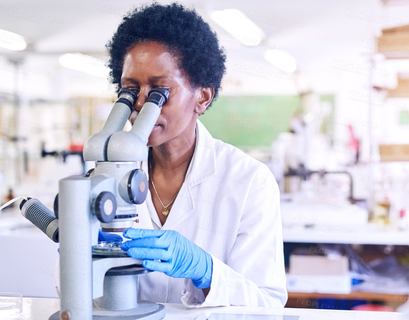 Buy stock photo Scientist, microscope and woman working in lab, biotechnology and medical analysis for research project. Innovation, scientific equipment and healthcare employee, experiment and microbiologist