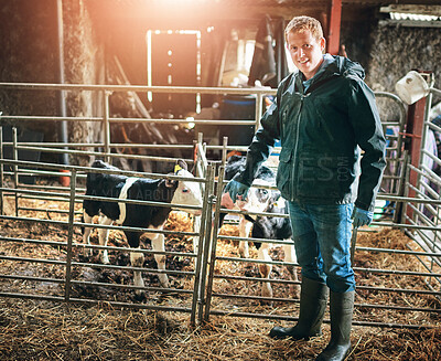 Buy stock photo Farm, agriculture and man with cows, nature and grass for sustainable farming, inspection and countryside. Farmer, guy and portrait with cattle for beef production, livestock or animal health