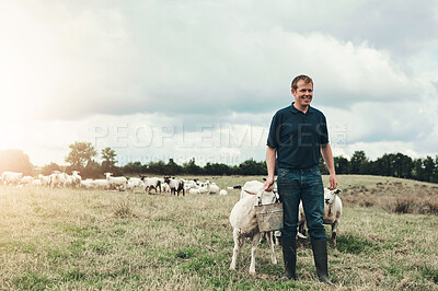 Buy stock photo Farmer, agriculture and cattle on field for sustainability, farming and food or dairy production. Man, agribusiness and feeding cows by countryside for meat or milk with grass, animals and livestock