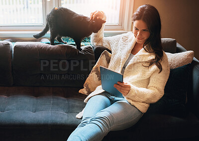 Buy stock photo Relax, cat and woman with tablet on sofa for news article, social media or communication in living room. Connection, online and person with pet for reading ebook, blog or browsing internet in home