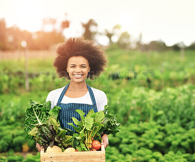 Buy stock photo Portrait, woman and smile with vegetables in box for eco friendly, cultivation and harvest on farm. Happy, gardener and agriculture in nature for sustainable, farming or production of organic produce