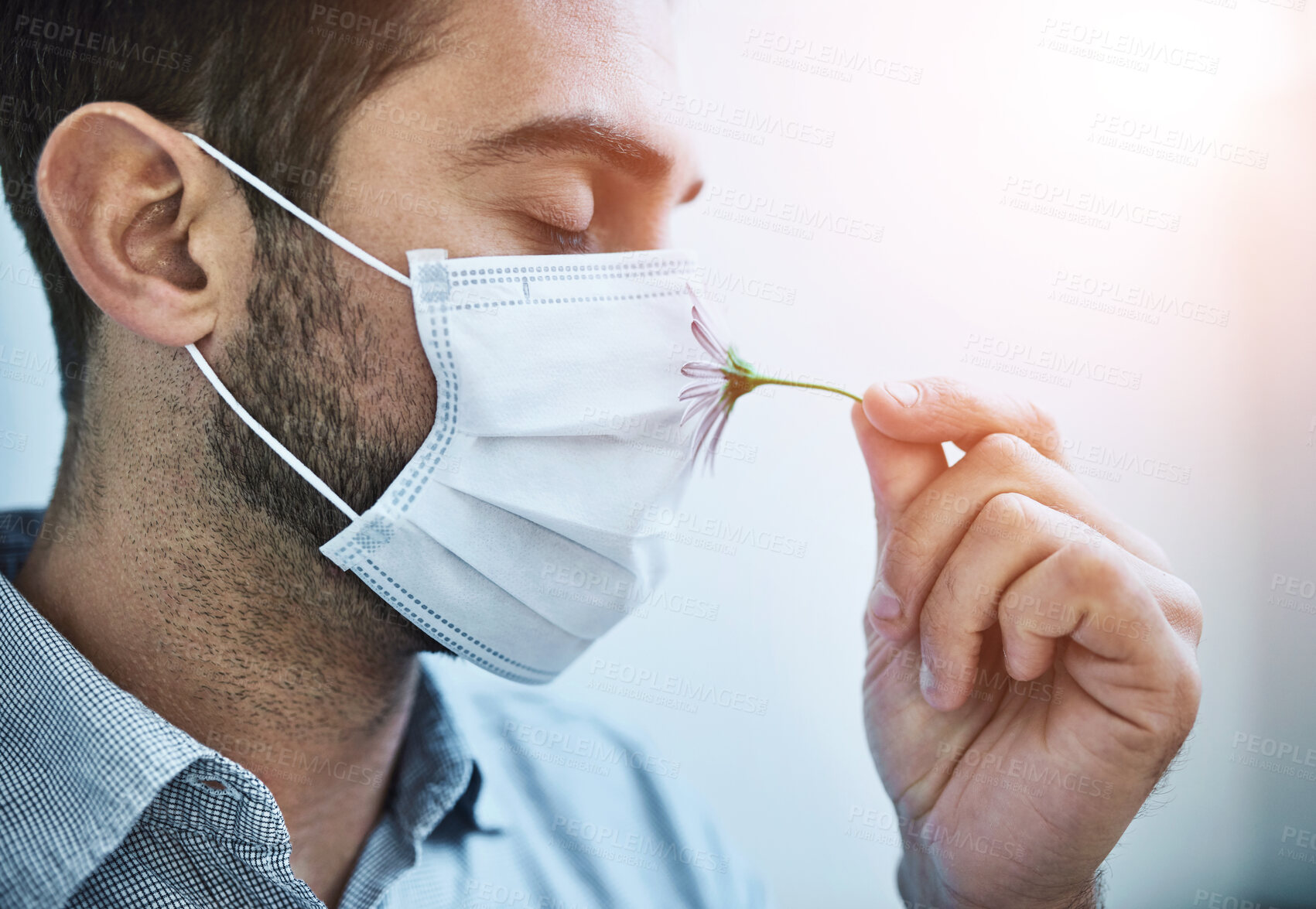 Buy stock photo Face, mask and man with flower, smell and protection from allergy with clean air on white background. Safety, pollen and person in ppe for hayfever, sinuses and relax with fresh breathing in spring