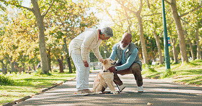 Buy stock photo Love, senior couple and pet outdoor on walk together for group exercise, health and wellness in park. Play, senior man and woman in nature with labrador animal for morning adventure in retirement 