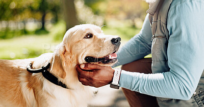 Buy stock photo Animal, dog and hand in park for walk, exercise and golden retriever breed for training. Pet, protection and guide for emotional support and love, comfort and cardio in field or nature with person