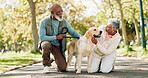 Love, senior couple and pet outdoor on walk together for group exercise, health and wellness in park. Active, senior man and woman in nature with labrador animal for morning adventure and retirement