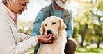 Senior couple, dog and outdoor care with treat for love, support and healthy snack for praise or training in park. Elderly people with animal, puppy or labrador pet for adoption and eating in nature