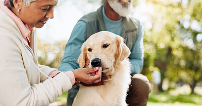 Buy stock photo Senior couple, dog and outdoor care with treat for love, support and healthy snack for praise or training in park. Elderly people with animal, puppy or labrador pet for adoption and eating in nature