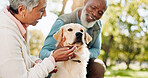 Senior couple, dog and park for playing, love and care of labrador for health, bonding or happy outdoor wellness. Old man and woman with animal, puppy or pet for adoption and support with healthy fur