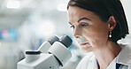 Woman, biologist and forensic with microscope for research, breakthrough or discovery at laboratory. Female person or scientist looking in scope or biotechnology for experiment, test or exam at lab