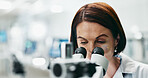 Woman, scientist and forensic with microscope for discovery, research or breakthrough at laboratory. Female person or biologist looking in scope or biotechnology for experiment, test or exam at lab