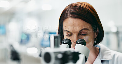 Buy stock photo Woman, scientist and forensic with microscope for discovery, research or breakthrough at laboratory. Female person or biologist looking in scope or biotechnology for experiment, test or exam at lab