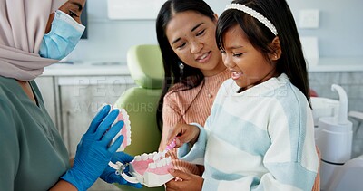 Buy stock photo Child, pediatric dentist or teach on brushing teeth in practice or kid friendly demonstration of tooth hygiene. Orthodontist, parent or girl by dental model or cleaning mouth in interactive education