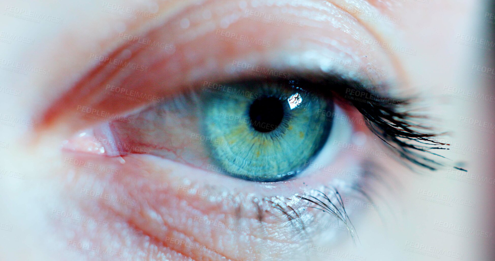 Buy stock photo Light, blink and macro of eye of person for vision, watching and eyesight for optometry, optical health and see. Human detail, iris and closeup of eyes, retina and pupil for sense and awareness