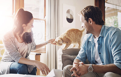 Buy stock photo Home, couple and happy with cat on sofa for friendship, bonding and trust with care and support. People, animal and pet owner with fun, relax and enjoy for welfare,  adoption and relationship