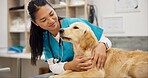 Woman, vet and dog at clinic with smile, care and stroke for health, development and growth with wellness. Person, doctor and golden retriever pet with assessment, exam and check at animal hospital