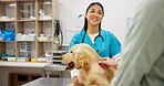 Woman, vet and dog at clinic with consulting, care and stroke for health, development and growth with wellness. People, doctor and golden retriever pet with check, exam and help at animal hospital