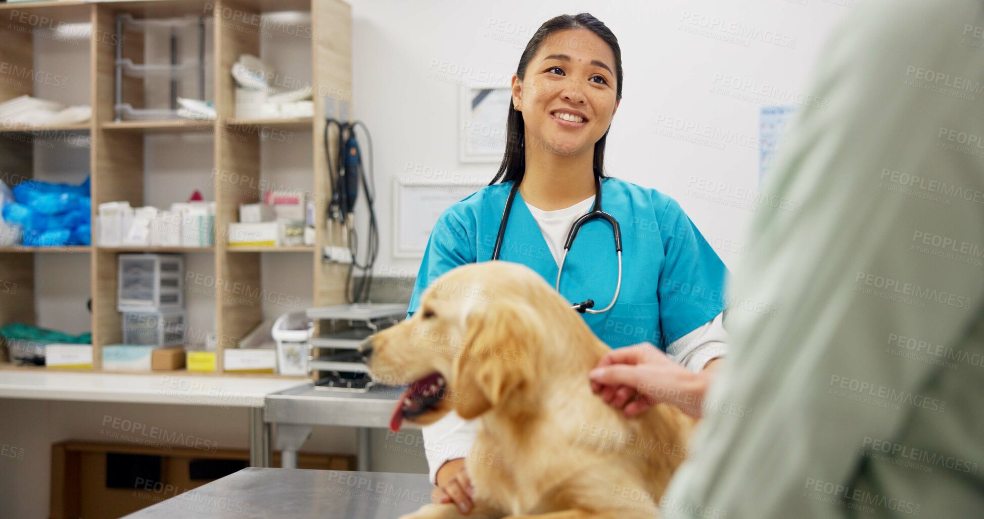 Buy stock photo Woman, vet and dog at clinic with consulting, care and stroke for health, development and growth with wellness. People, doctor and golden retriever pet with check, exam and help at animal hospital