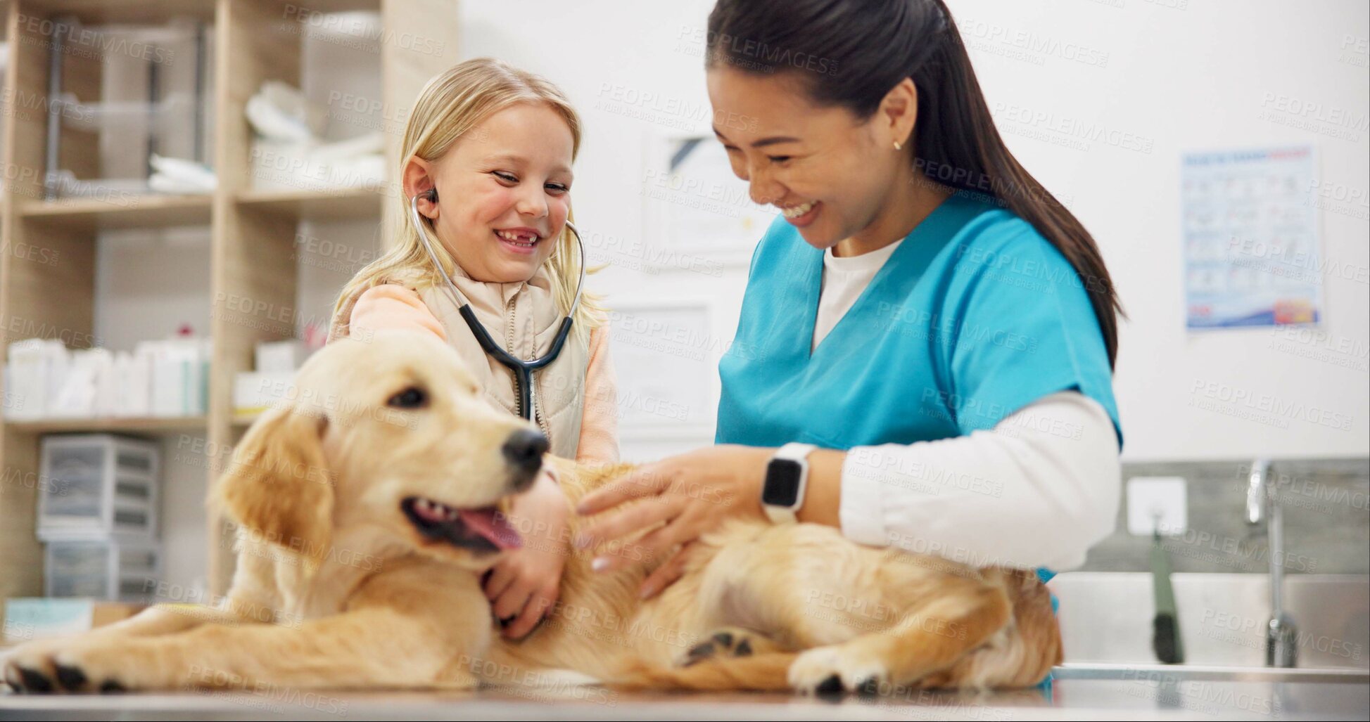 Buy stock photo Vet, woman and stethoscope for dog with kid, happy and listen for health, cardiology and breathing with wellness. Girl, doctor and golden retriever with assessment, exam and lungs at animal hospital