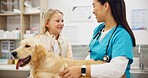 Woman, vet and dog at clinic with child, consulting and stroke for health, development and growth with wellness. People, doctor and golden retriever pet with smile, talk and exam at animal hospital