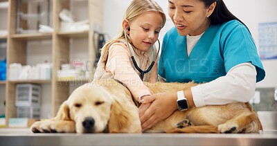 Buy stock photo Vet, woman and stethoscope for dog with child, care or listen for health, cardiology and breathing with wellness. Girl, doctor and golden retriever with assessment, exam and lungs at animal hospital
