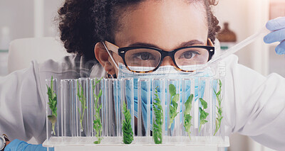 Buy stock photo African woman, scientist or test tube with plant or medical mask for safety, research or food exam in office. Science, female person or employee working in laboratory with chemistry analysis or study