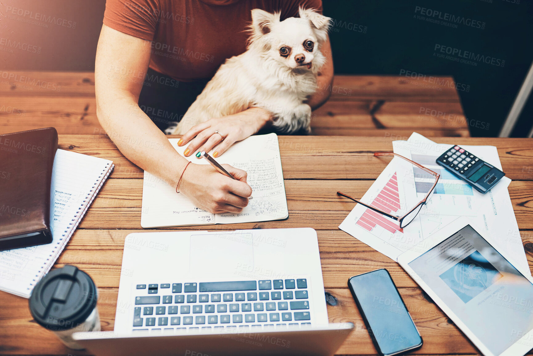 Buy stock photo Woman, office and writing notes in book, plan campaign and research audience engagement with dog. Female person, strategy and laptop for business development, journal and animal for support at desk