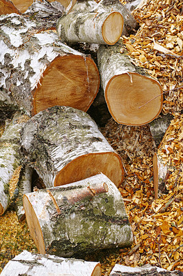 Buy stock photo Wood, pile and outdoor with lumber in environment for fuel, heat and natural material for construction. Stack, tree trunk and carpentry supplier with pattern, timber and sustainability with logging